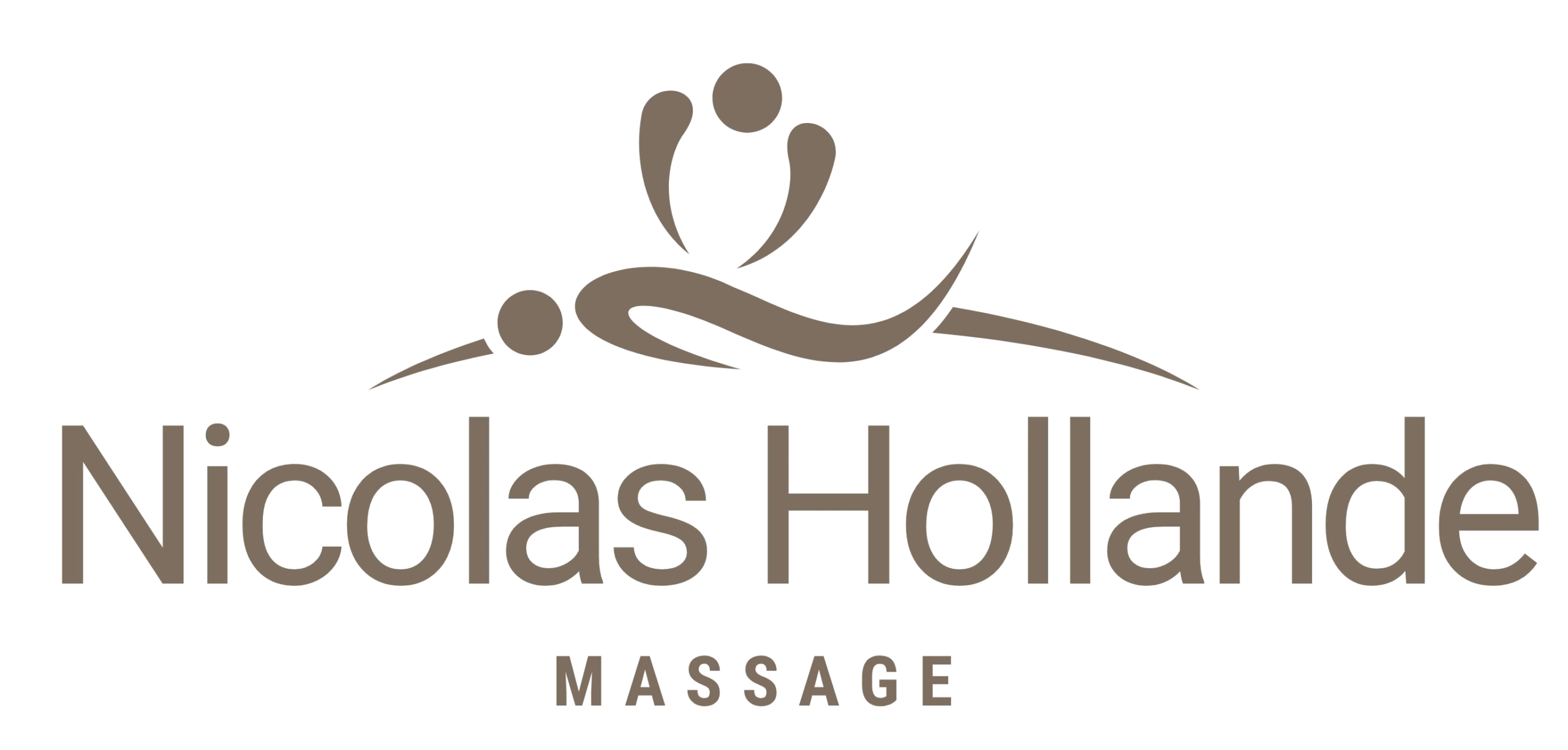 Logo site Nicolas Hollande